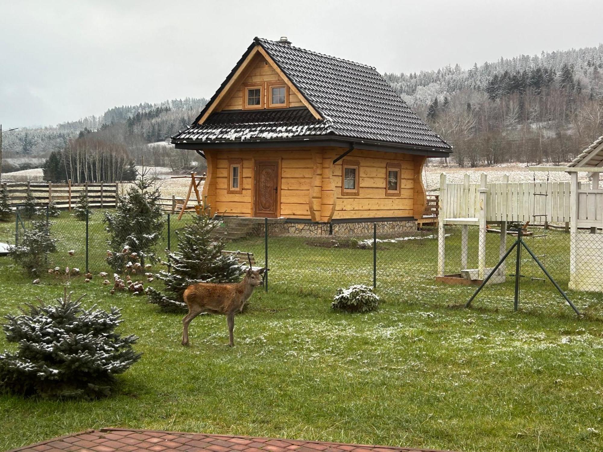 Sloneczna Chata Z Bali Lądek-Zdrój Exterior foto